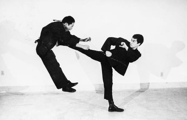 In Search of the Martial Artist: Chaos, Philosophy, and Honest Expression